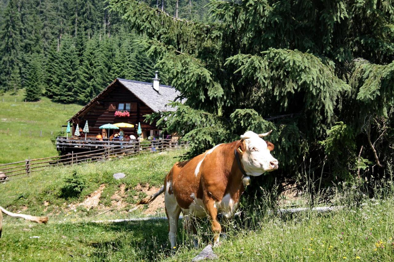 Chalet 164 Бад Гоисерн Экстерьер фото
